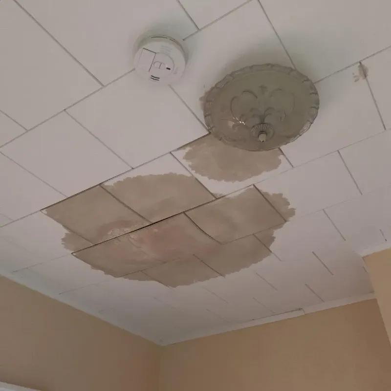 Ceiling Water Damage Repair in Roosevelt Park, MI