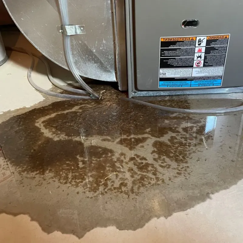 Pipe Burst and Leak Restoration in Roosevelt Park, MI