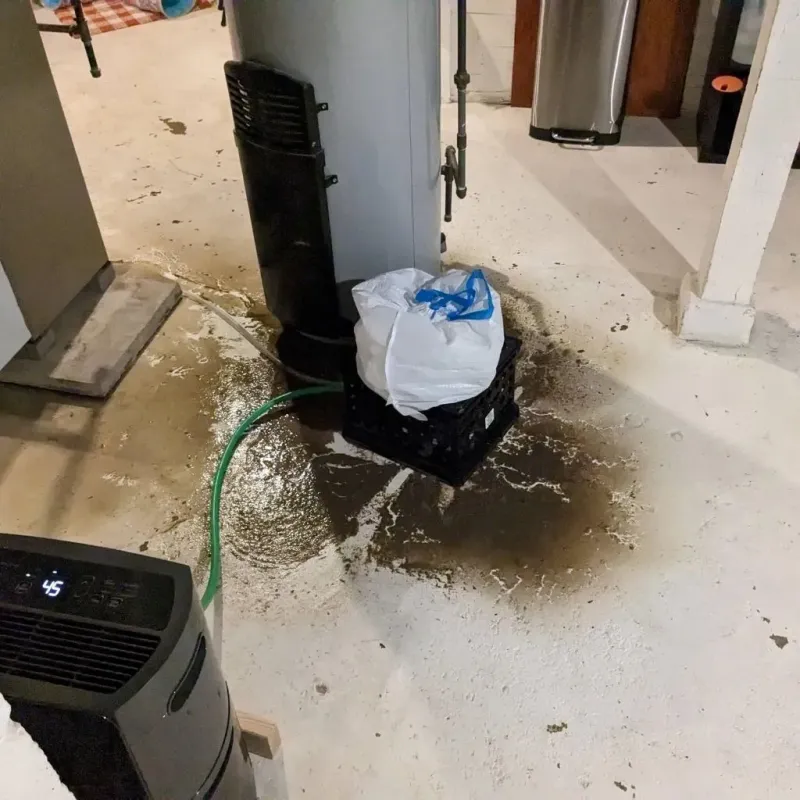 Sewage Backup Cleanup Service in Roosevelt Park, MI